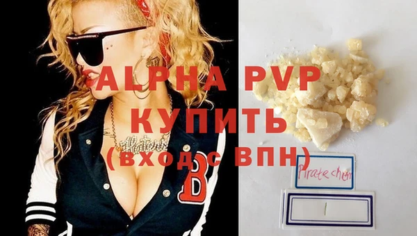 прущие грибы Александровское