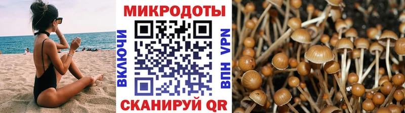 Псилоцибиновые грибы ЛСД  купить наркотик  kraken рабочий сайт  Заинск 